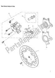 Rear Brake Caliper & Disc