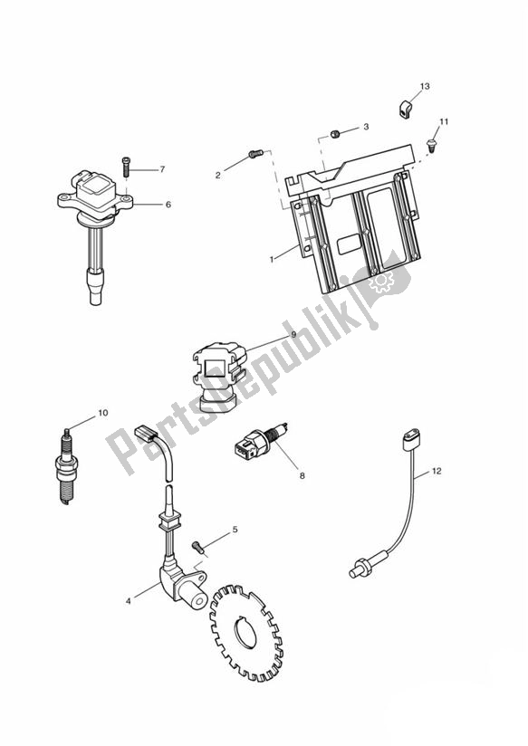 Todas las partes para Engine Management System > 89736 de Triumph Sprint ST VIN: > 139276 955 1999 - 2001