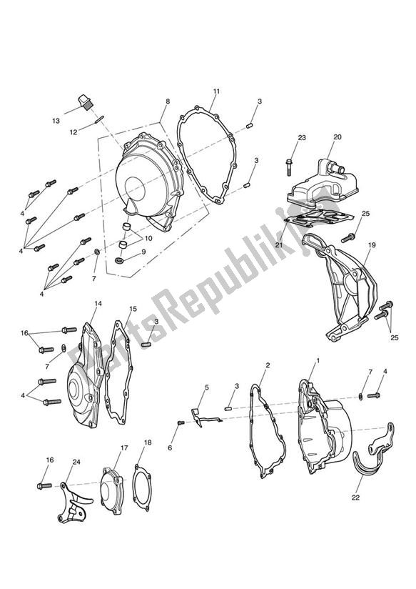 Todas las partes para Cubiertas Del Motor de Triumph Street Triple 675 2010 - 2012