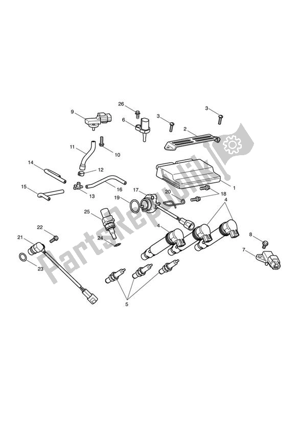 Todas las partes para Sistema De Gestión Del Motor de Triumph Street Triple 675 2010 - 2012