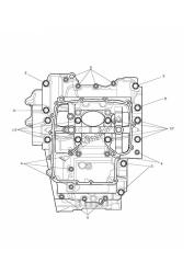 crankcase bolts