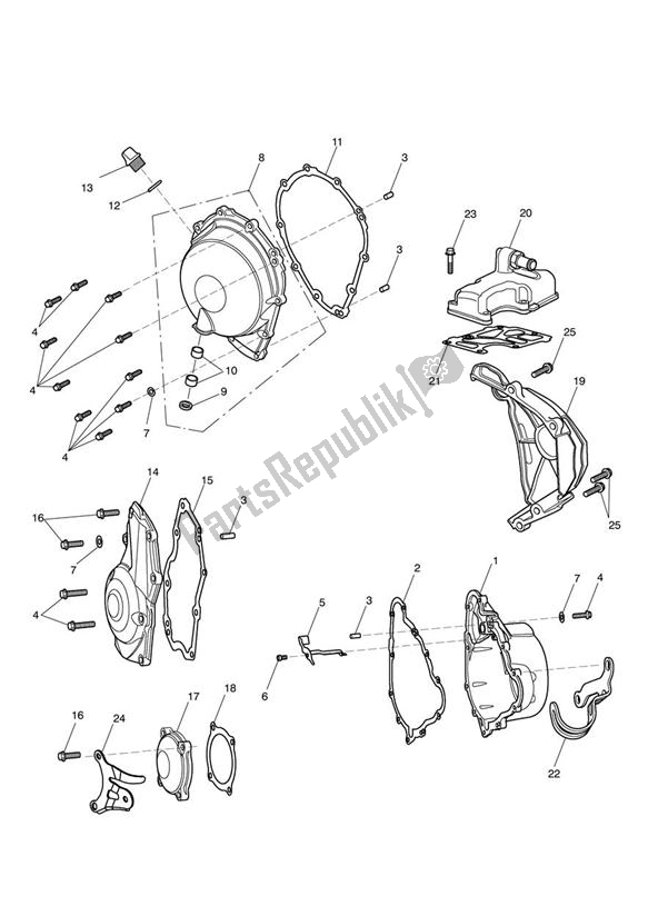 Todas las partes para Cubiertas Del Motor de Triumph Street Triple R 675 2010 - 2012