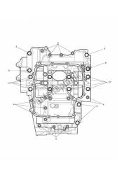 crankcase bolts