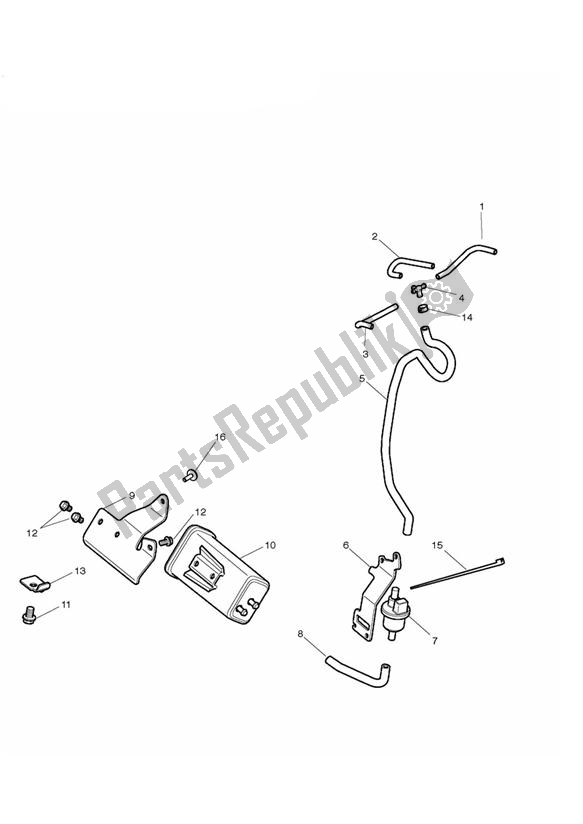 Alle onderdelen voor de Verdampingsverliescontrolesysteem - Alleen Californië van de Triumph Street Triple R VIN: > 560476 675 2008 - 2012