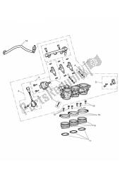 throttles, injectors and fuel rail