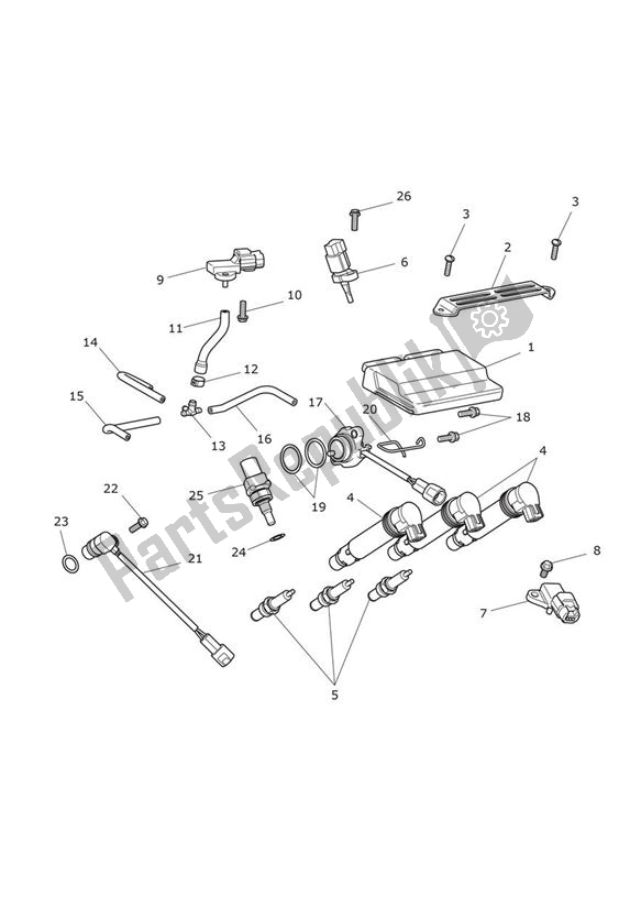 All parts for the Engine Management System of the Triumph Street Triple VIN: < 560476 675 2009 - 2012