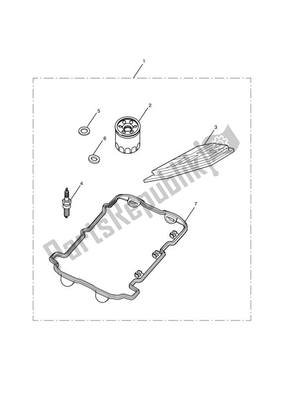 Todas las partes para Kits De Servicio de Triumph Street Triple VIN: < 560476 675 2009 - 2012