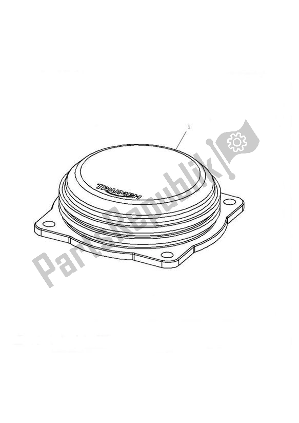 All parts for the Throttle Body Cap of the Triumph Thruxton 900 EFI 2008 - 2010