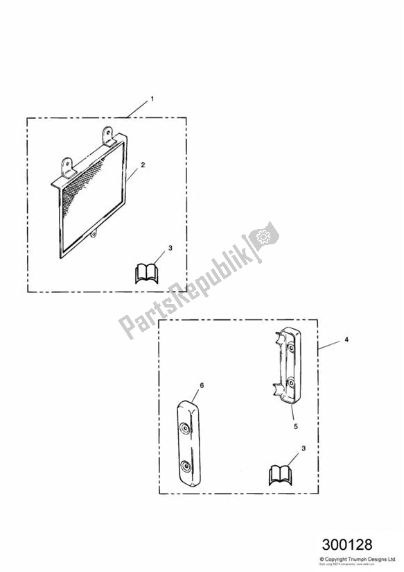 All parts for the Chrome Radiator Stone Guard/end Caps of the Triumph Thunderbird 885 1995 - 2003