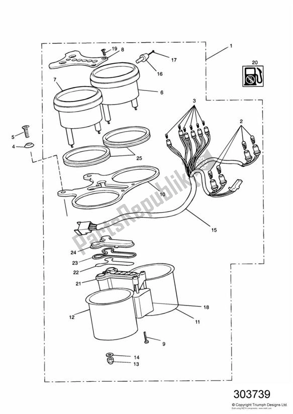 Alle onderdelen voor de Instruments 71699 > van de Triumph Thunderbird 885 1995 - 2003