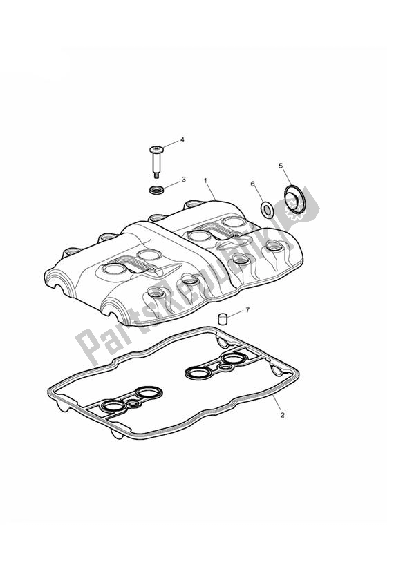 Tutte le parti per il Copertura Per Camma del Triumph Thunderbird LT 1700 2014 - 2015