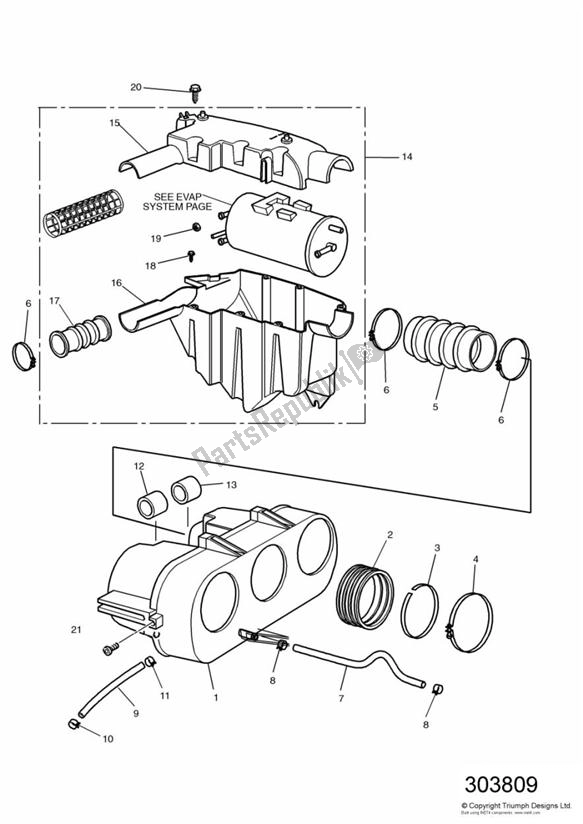 All parts for the Airbox of the Triumph Thunderbird Sport 885 1998 - 2004