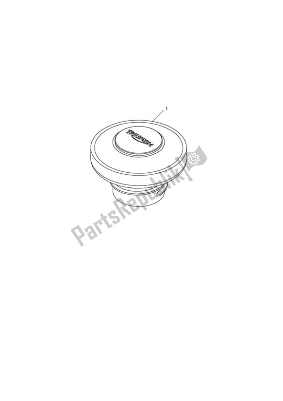 Todas las partes para Filler Cap, Fuel, Locking de Triumph Thunderbird Storm 1600 2010 - 2014