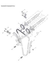 camshaft & camshaft drive