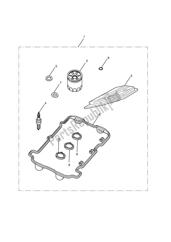 All parts for the Engine Service Kits of the Triumph Tiger 1050 2007 - 2013