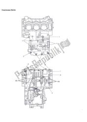 crankcase bolts