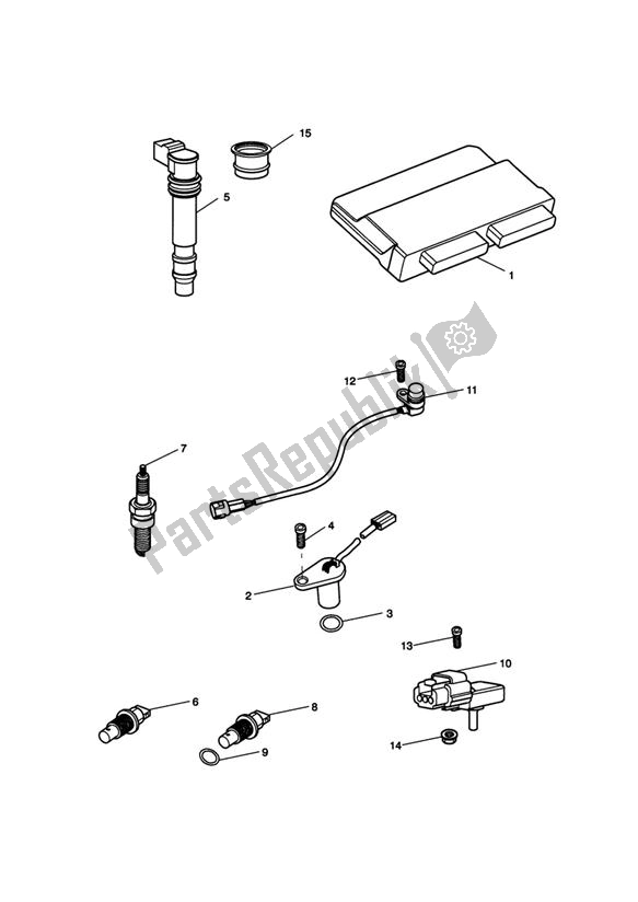 All parts for the Engine Management System of the Triumph Tiger 1050 2007 - 2016