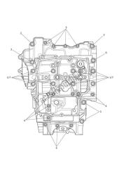 crankcase bolts