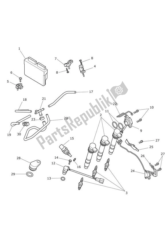 All parts for the Engine Management System of the Triumph Tiger 800 2011 - 2015