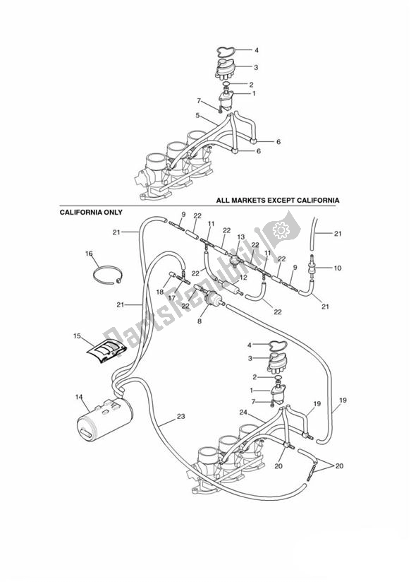 Alle onderdelen voor de Evaporative Loss Equipment van de Triumph Tiger 885I VIN: 71699-124105 1999 - 2001