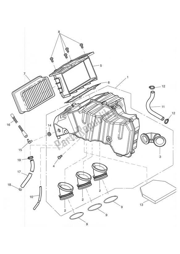 Todas las partes para Caja De Aire de Triumph Tiger 955I VIN: 124106-198874 2002 - 2004