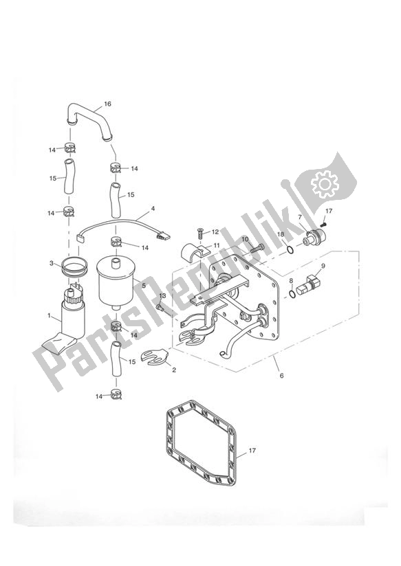 Wszystkie części do Fuel Pump & Filter Eng No 207447 > Triumph Tiger 955I VIN: 198875 > 2005 - 2006