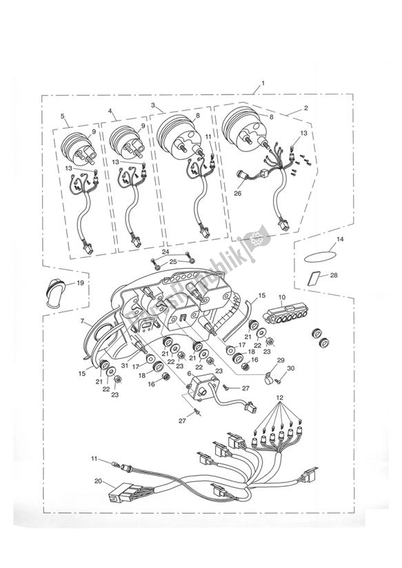 Todas las partes para Instrumentos de Triumph Tiger 955I VIN: 198875 > 2005 - 2006