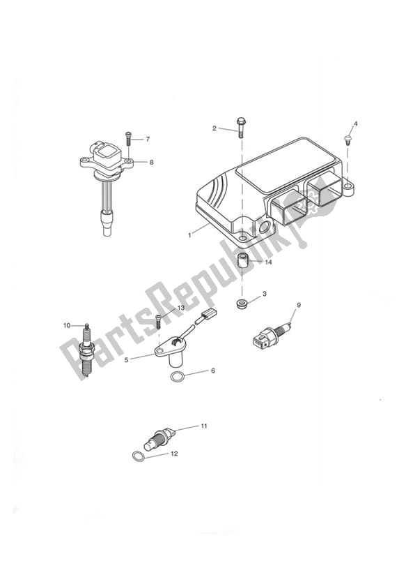 All parts for the Engine Management System of the Triumph Tiger 955I VIN: 198875 > 2005 - 2006