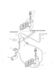 Evaporative System