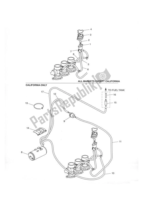 All parts for the Evaporative System of the Triumph Tiger 955I VIN: 198875 > 2005 - 2006