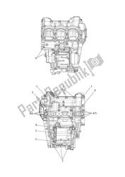 crankcase bolts