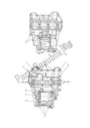 crankcase bolts