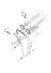 camshaft & camshaft drive