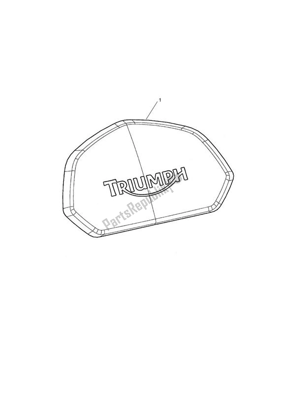 All parts for the Backrest, Top Box of the Triumph Trophy 1215 2013