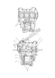 crankcase bolts