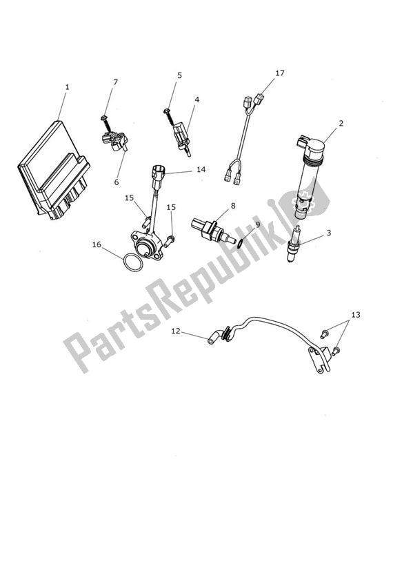 All parts for the Engine Management System of the Triumph Trophy 1215 2013