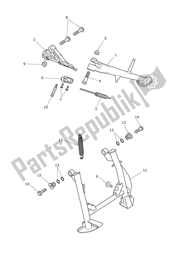 All parts for the Stands of the Triumph Trophy 1215 2013