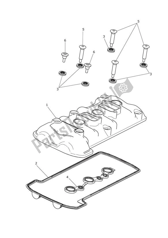 All parts for the Cam Cover of the Triumph Trophy 1215 SE 2013