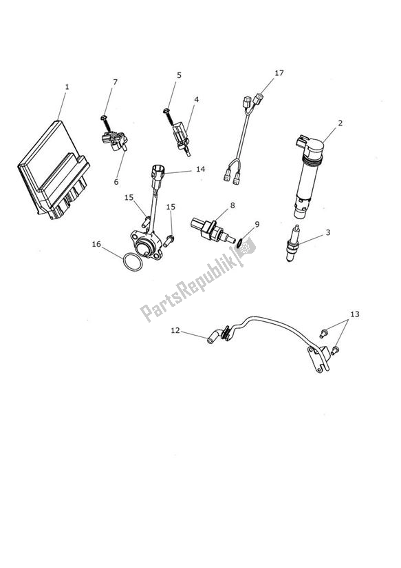 All parts for the Engine Management System of the Triumph Trophy 1215 SE 2013