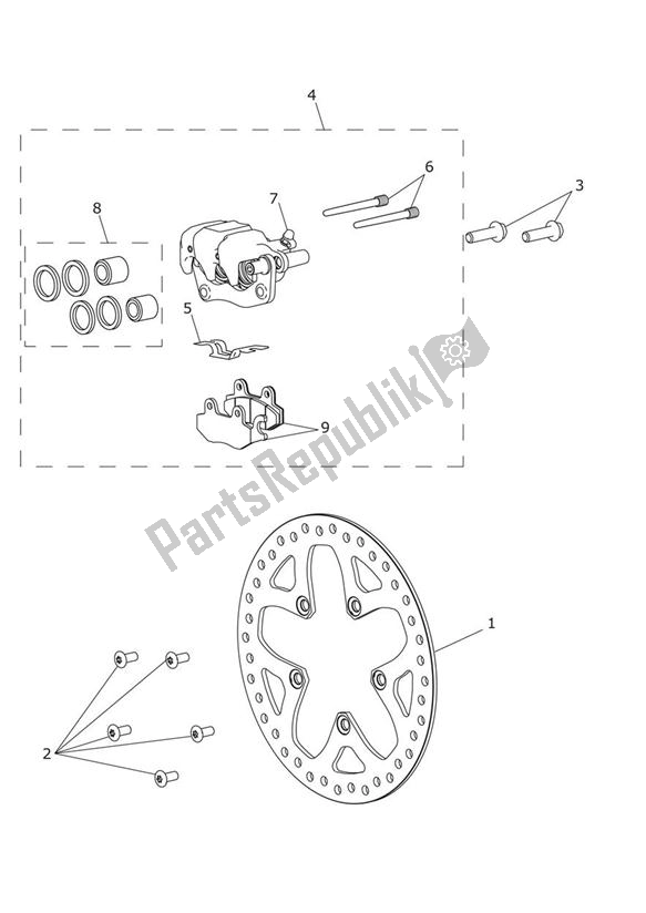 All parts for the Rear Brake Caliper & Disc of the Triumph Trophy 1215 SE 2013