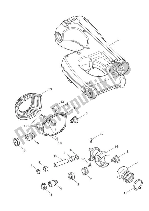 All parts for the Swingarm Assembly of the Triumph Trophy 1215 SE 2013