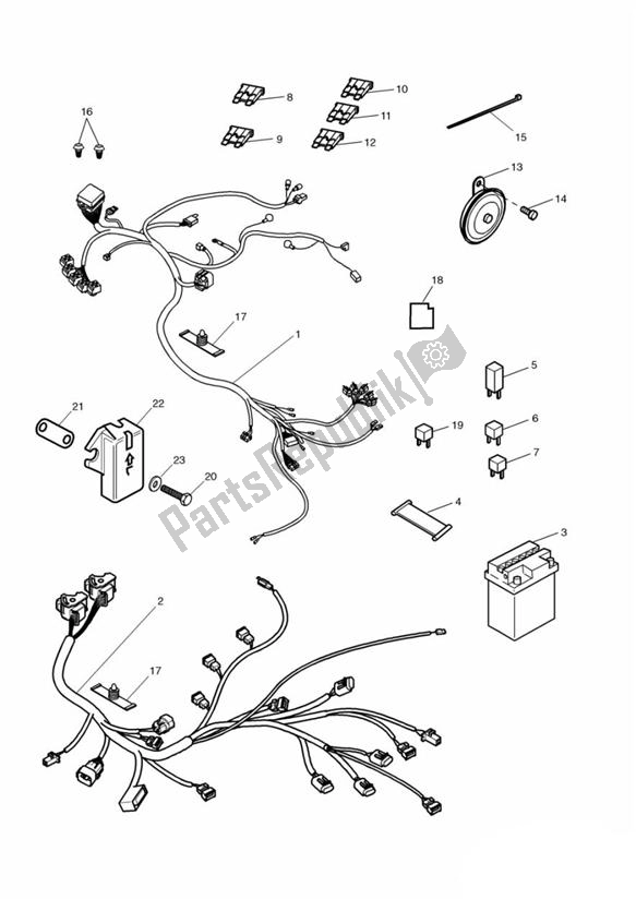 Tutte le parti per il Materiale Elettrico del Triumph TT 600 2000 - 2003