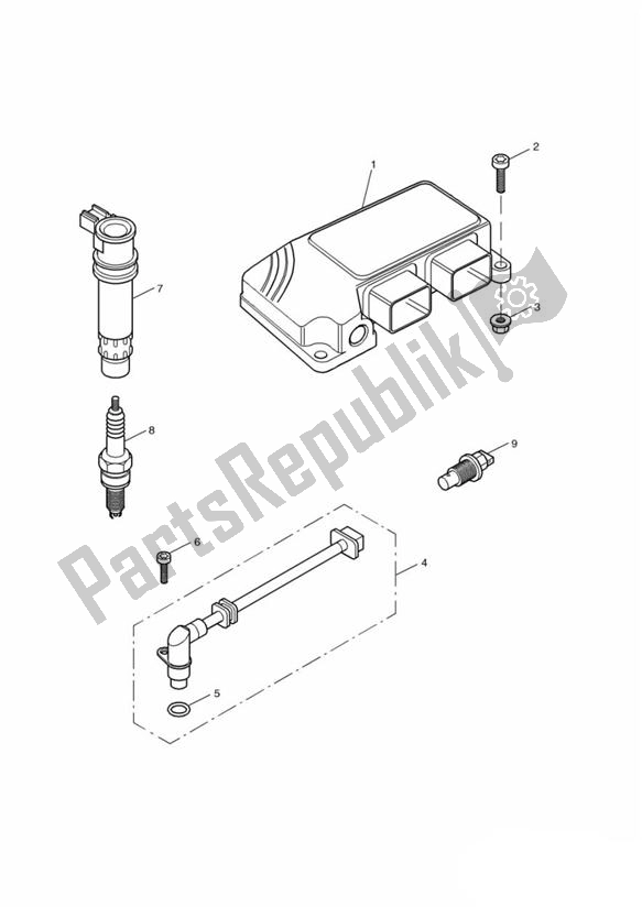 All parts for the Engine Management System of the Triumph TT 600 2000 - 2003