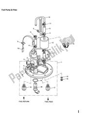 Fuel Pump And Filter