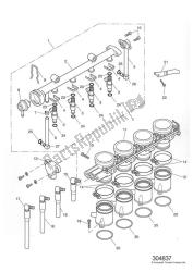 Throttle/injector And Fuel Rail