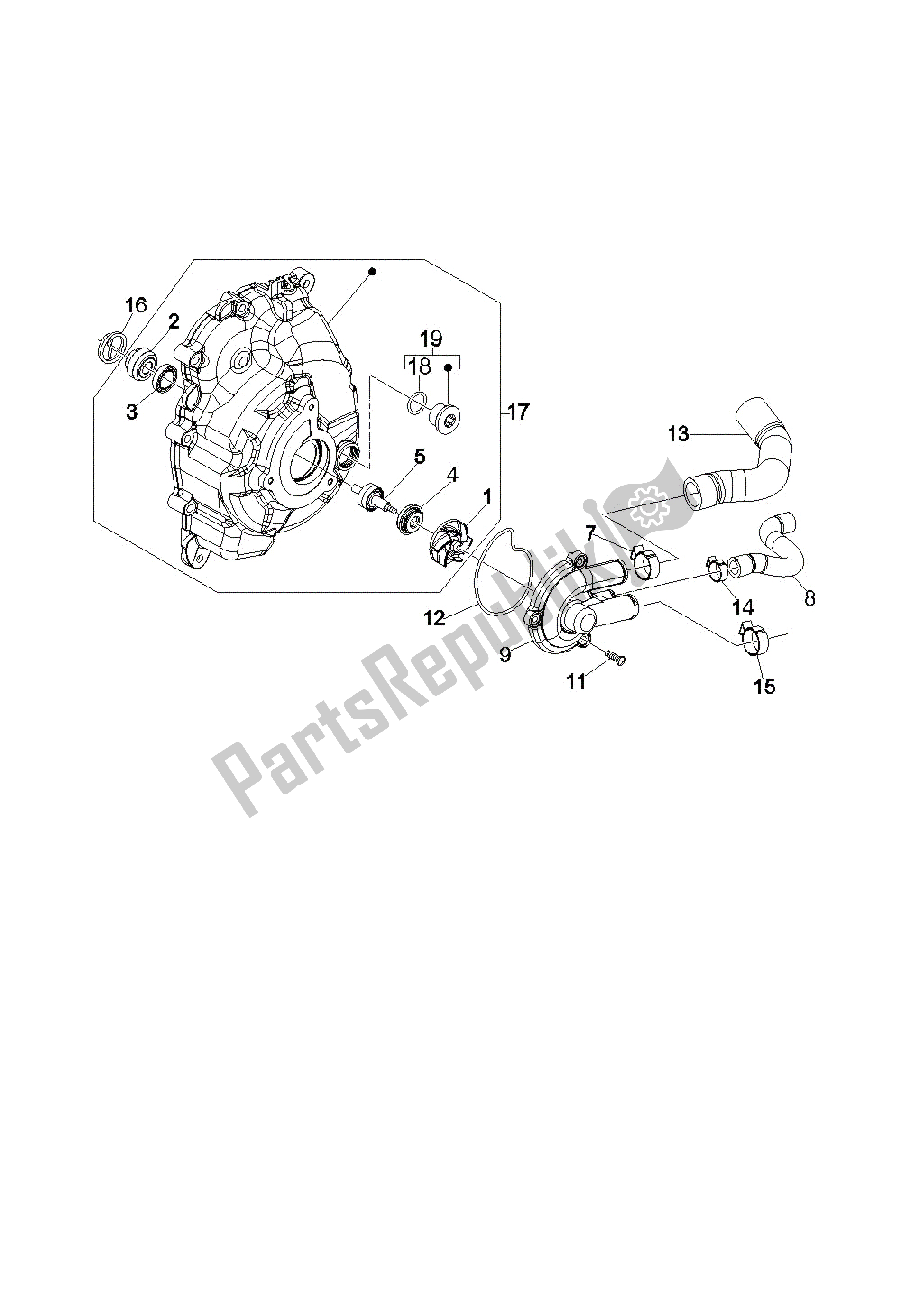 Toutes les pièces pour le Bomba De Agua du Vespa GTS 250 2005 - 2009