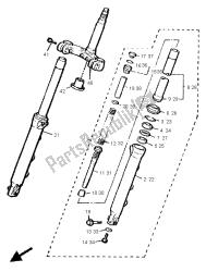 forcella anteriore