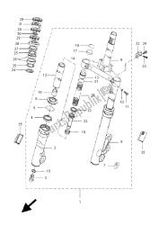 forcella anteriore