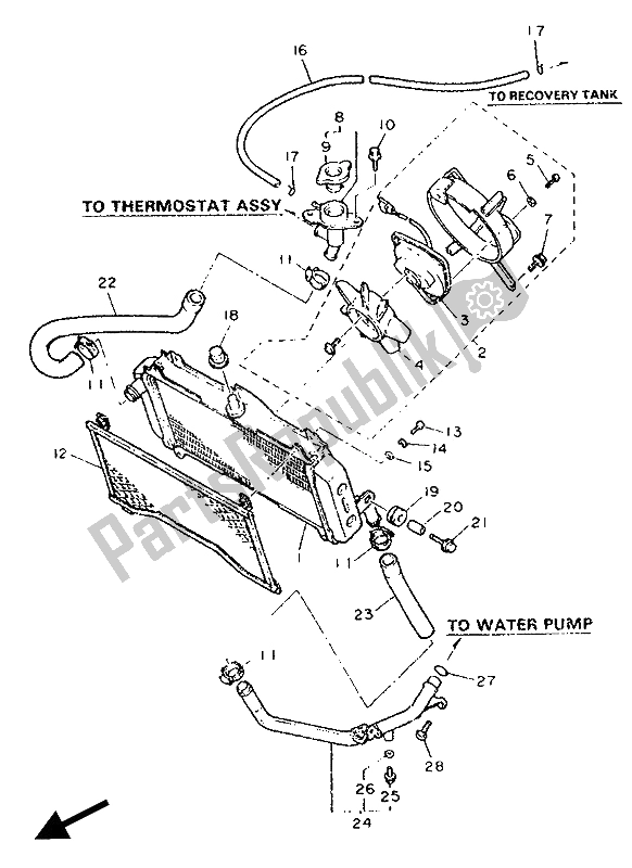 Toutes les pièces pour le Tuyau De Radiateur du Yamaha FZR 600 Genesis 1990