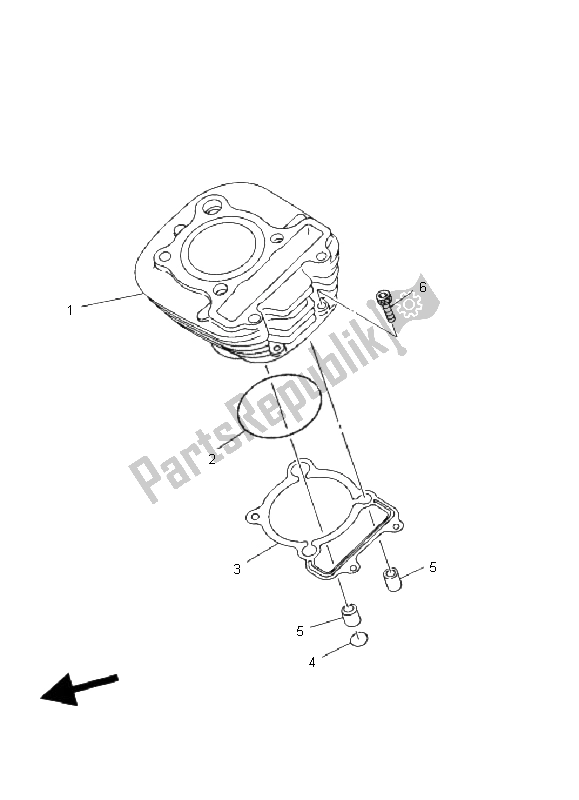 Alle onderdelen voor de Cilinder van de Yamaha YFM 250 Bruin 2006